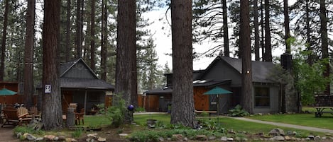 Vacation Tall Pines cabin-in-the-woods rental on the right