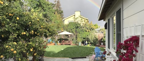 Terraço/pátio