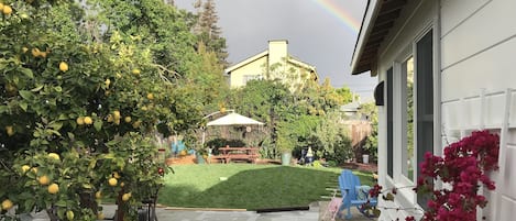 Peaceful and quiet backyard. Completely  fenced.