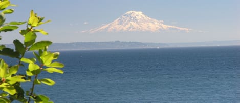 The view from South Beach Cozy Cottage!