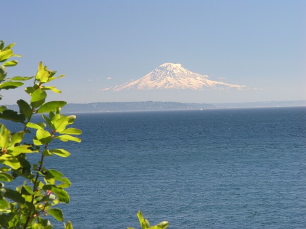 The view from South Beach Cozy Cottage!