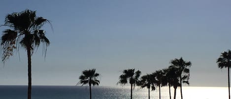 Enjoy the view of the surf, palm trees and  sunsets from our 3rd floor patio.