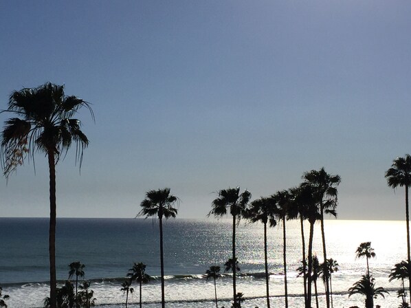 Enjoy the view of the surf, palm trees and  sunsets from our 3rd floor patio.