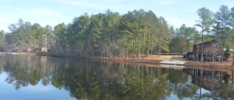 Backyard from lake; very private, surrounded by trees