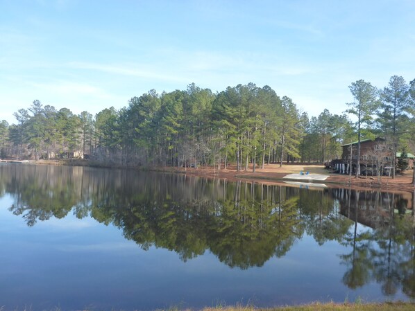 Backyard from lake; very private, surrounded by trees