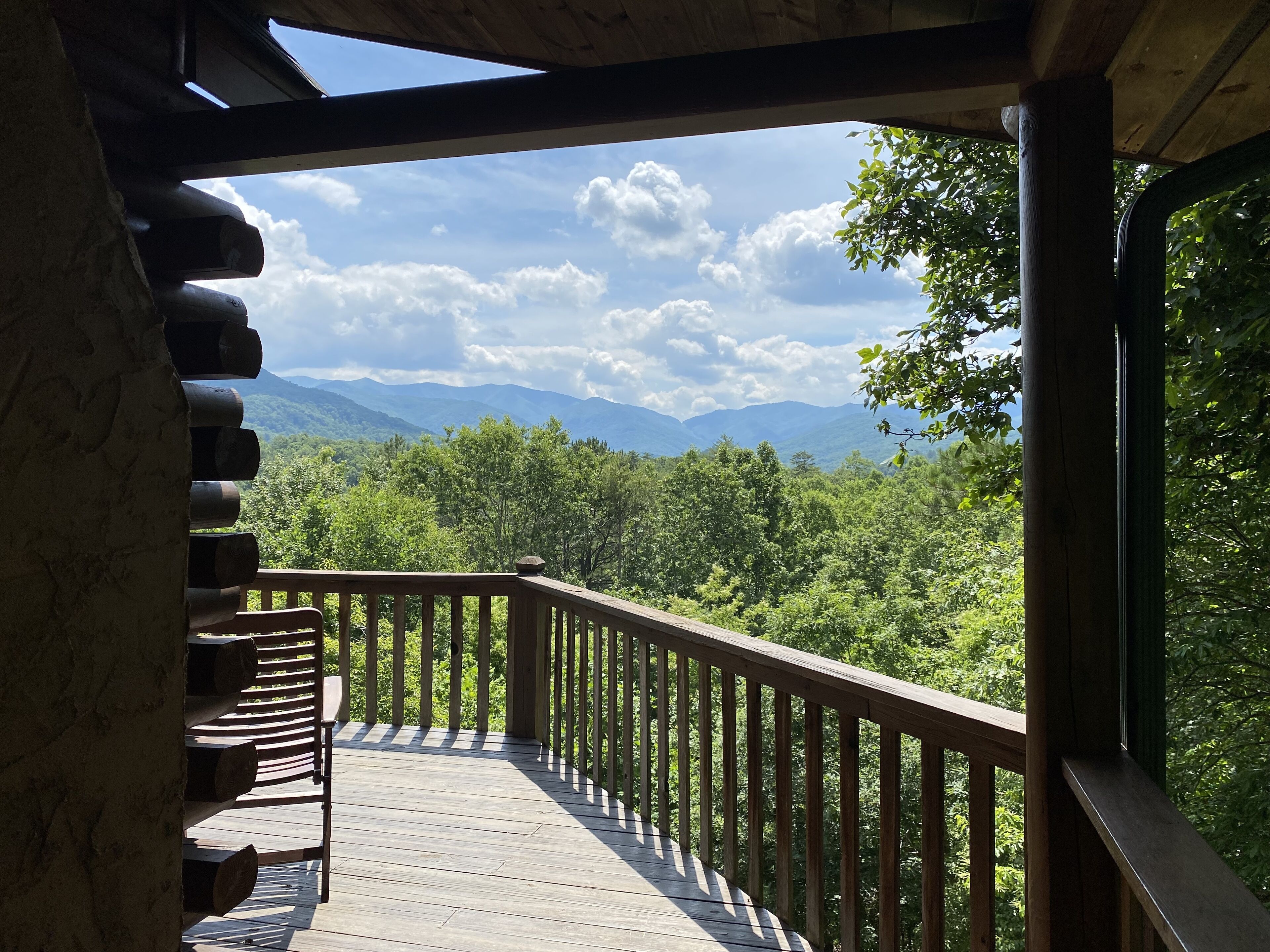 特別セーフ Smokies-Dog in Cabin Escape Country Friendly/Pool 4/3 Table 洋書