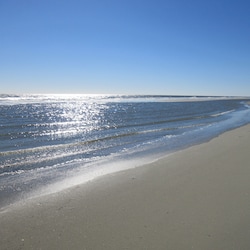 Paradise