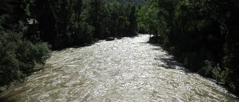 ROARING FORK RIVER - Summer 2015