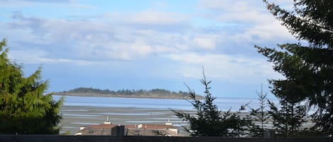 View from front patio, #23 Tanglewood Place