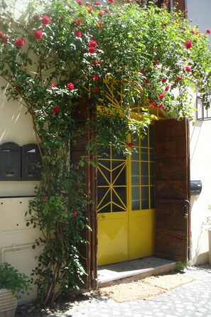 the main door
