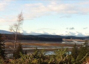 Chilkat Mountain Range