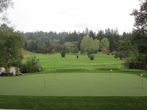 Private Putting Green and golf course view