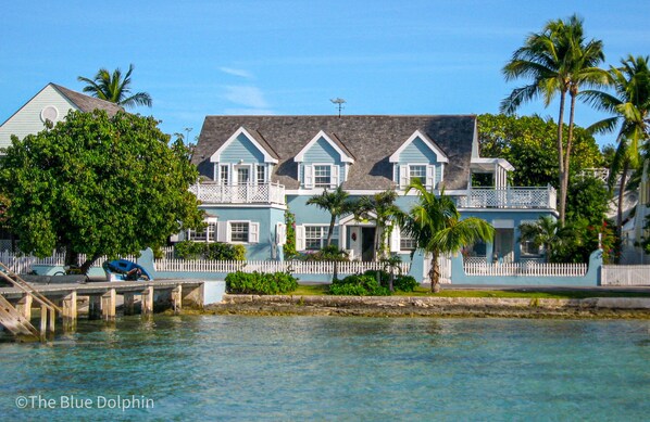 Welcome to The Blue Dolphin!