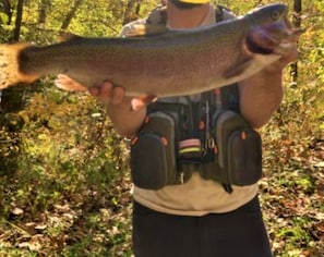 caught on the section of the Shaver's Fork where this property is located