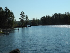 looking up the pond -- great paddling!