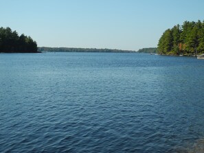view down pond 