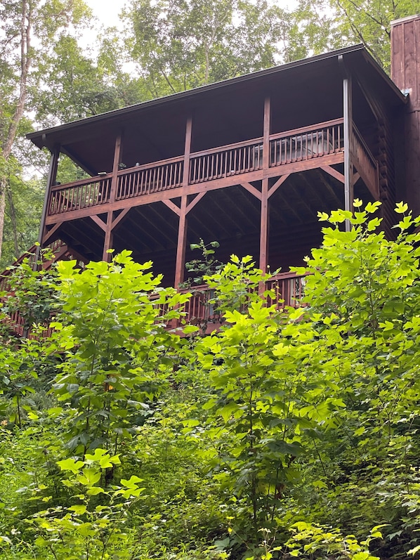 From the back of the cabin