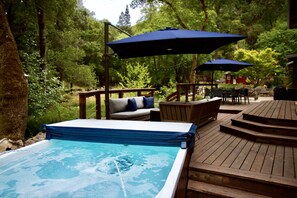 14 foot swim spa/hot tub