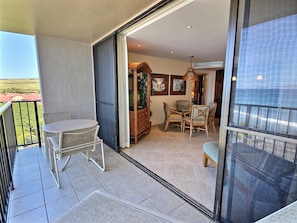 Big Sliding glass doors from lanai to living room.