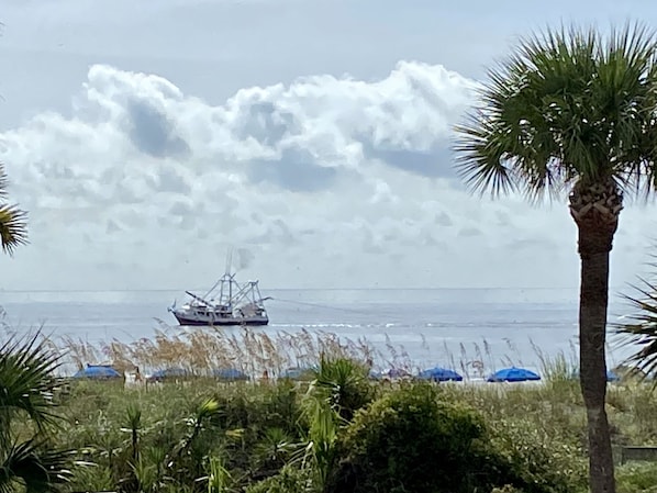 Early morning shrimp boat passing by our villa.