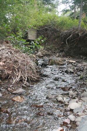 Terrenos do alojamento