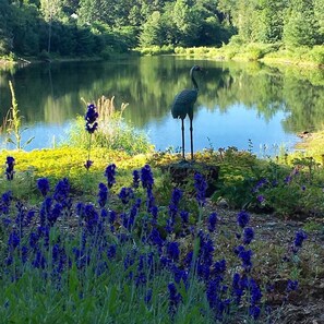 From patio: lake view thru the lavender....