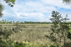 Gorgeous Marsh View