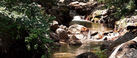 Jardines del alojamiento