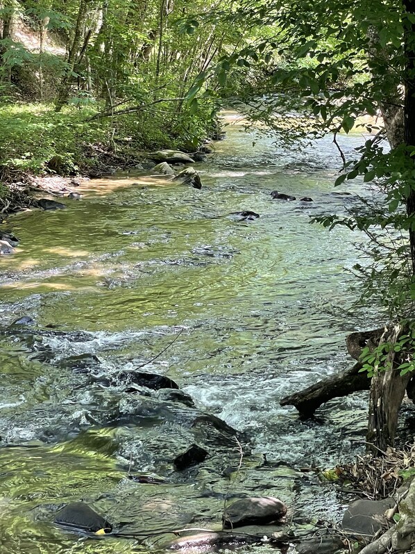 Beautiful Rushing Creek!
