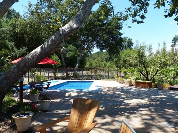 North View Of Pool