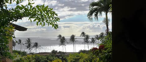 Ocean view from Lanai