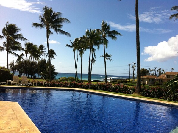 Ocean view pool, 3 minute walk from condo
