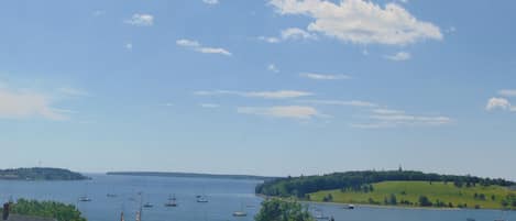 View from the sunroom
