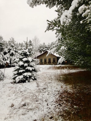 Cozy lil' cottage at the first snowfall, November 2017