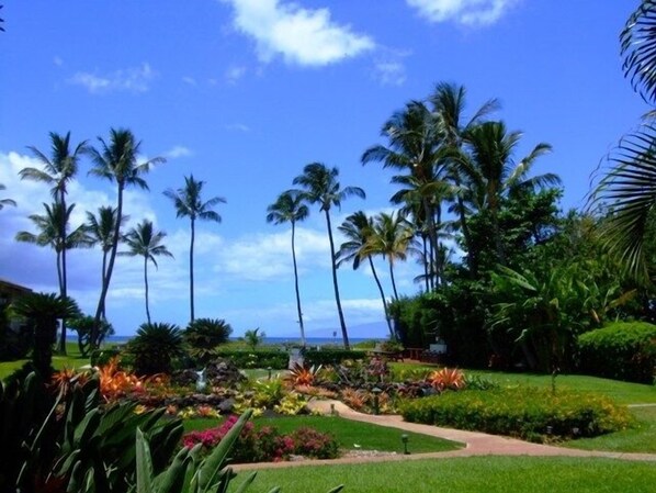 An ocean view from the kitchen, living room, bedroom and lanai.