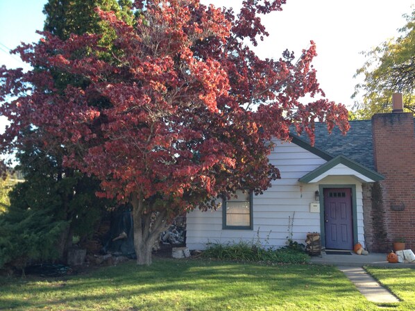 Fall colors at our front door...welcome!