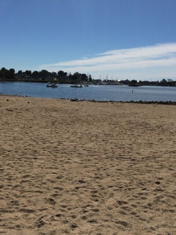 Esker Park beach area