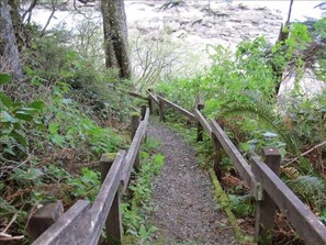 Private path and stairway to the beach