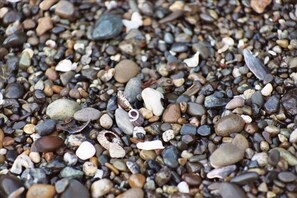 Beachcomb for rocks, shells, fossils, and the occasional piece of beach glass