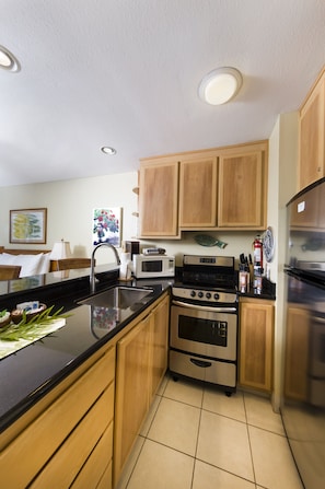 Fully equipped stainless steel kitchen