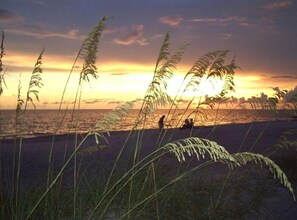 sunset on the beach