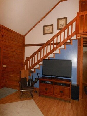 Living Rm has 51" HDTV with internet access, DVD player, games, books & movies

