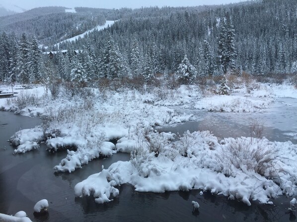 View from living room