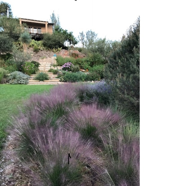 House on the Hill