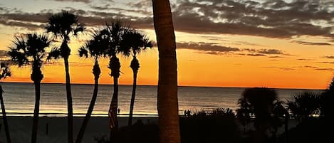 Siesta key sunsets are truly magnificent.