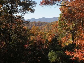 Fall Colors 