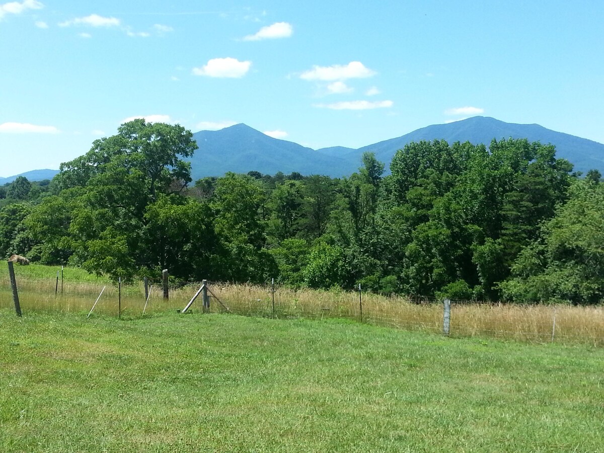 Quaint Cottage with Majestic Mountain Views – Close to Parkway & Lynchburg