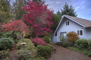 Beautiful landscape yard.
