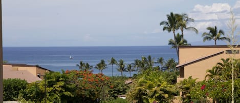 Ocean view from the lanai.