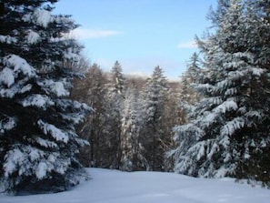 View of Mt. Snow from house